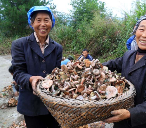 湘菜加盟连锁品牌“湘西部落”做大自然的搬运工