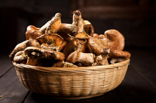 湘菜加盟连锁品牌“湘西部落”做大自然的搬运工