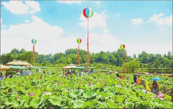 心泊牡丹故里 夢棲雲畔墊江