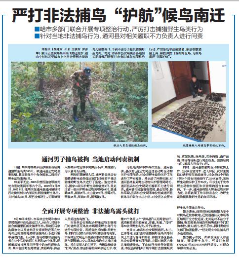 全民護“鳥”築牢戰“疫”防線!哈爾濱以“保護遷徙鳥下山蛙”為切入點踐行生態文明思想