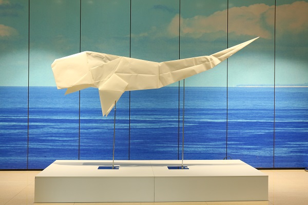 8*8米巨型白紙折出白鯨亮相中國航海博物館 開啟2018感恩季