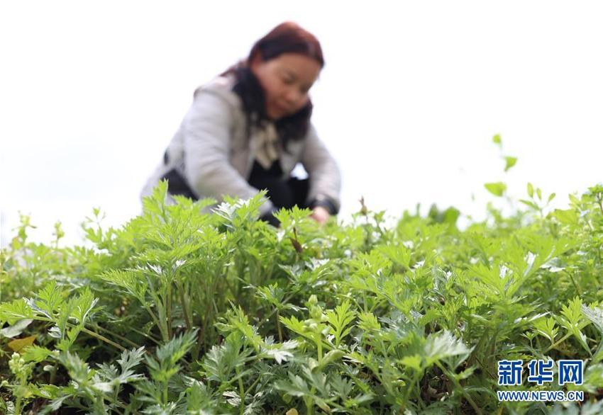 图片默认标题_fororder_贵州2