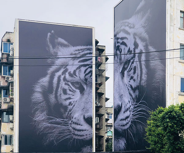 法国摄影师索菲SONAC系列街头摄影艺术作品展暨中法环境月在成都开幕_fororder_2