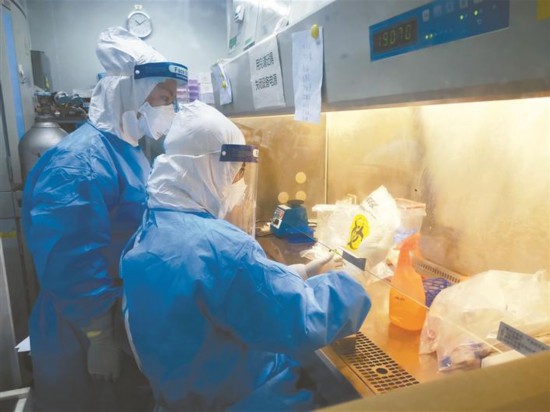 深圳战“疫”24小时