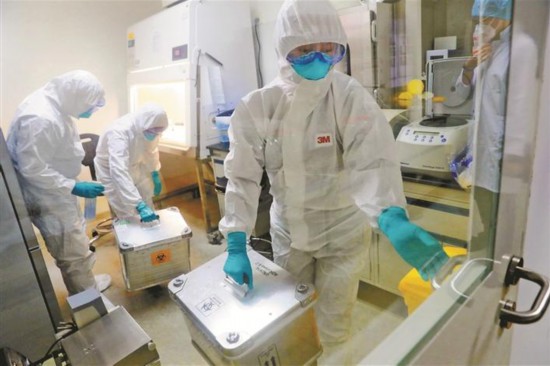 深圳战“疫”24小时