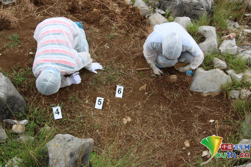 伤情鉴定的群众,维护常用系统,接办出勘各类现场,提取物证,做相关检验