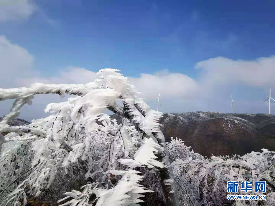 桂林全州出現霧凇美景