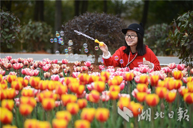 咸寧：印象林花醉遊人