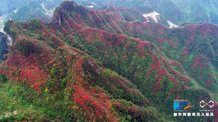 【城市遠洋】航拍重慶酉陽：漫山紅葉染紅層層峰巒