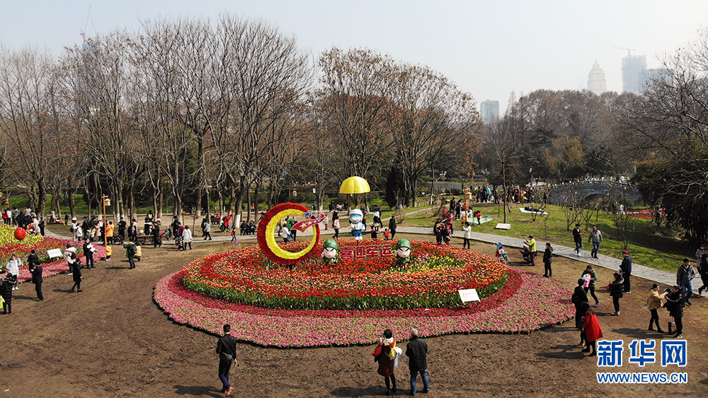 武漢：鬱金香花開艷麗吐芬芳