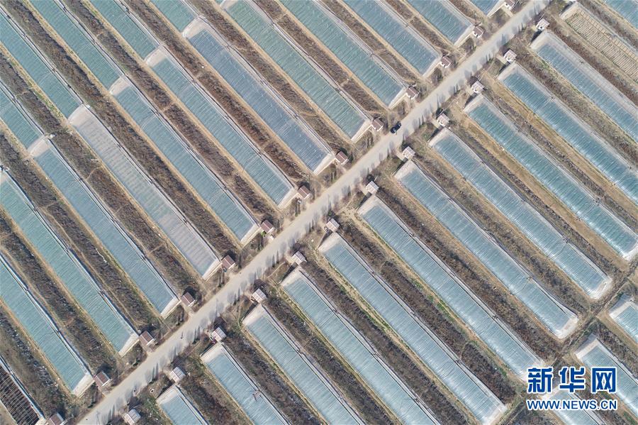 图片默认标题_fororder_2