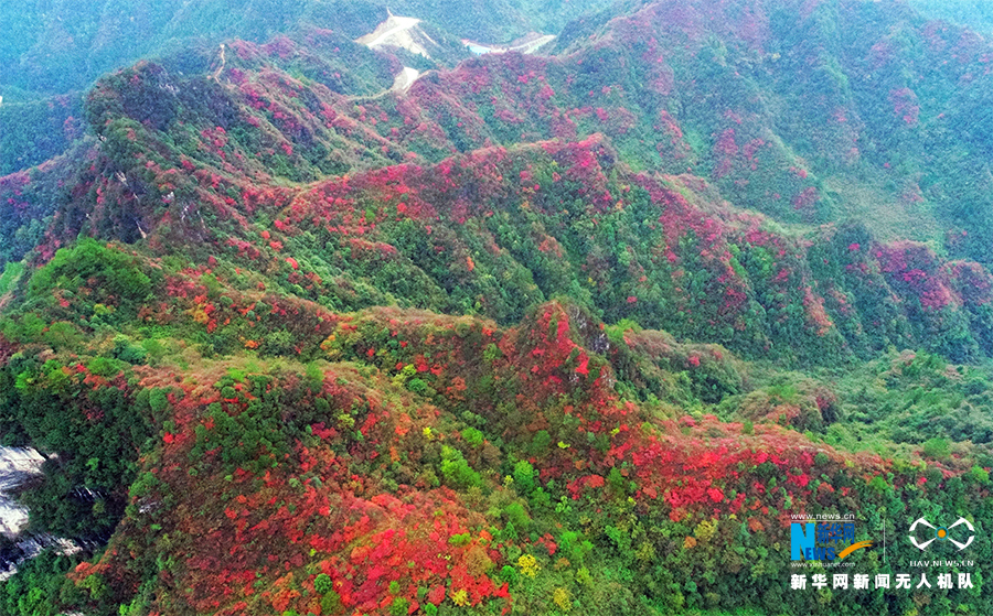 【城市远洋】航拍重庆酉阳：漫山红叶染红层层峰峦