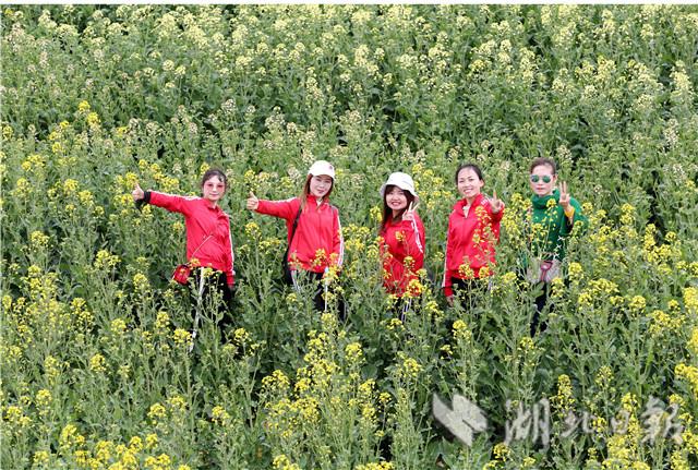 首届湖北油菜花节在荆门沙洋开幕