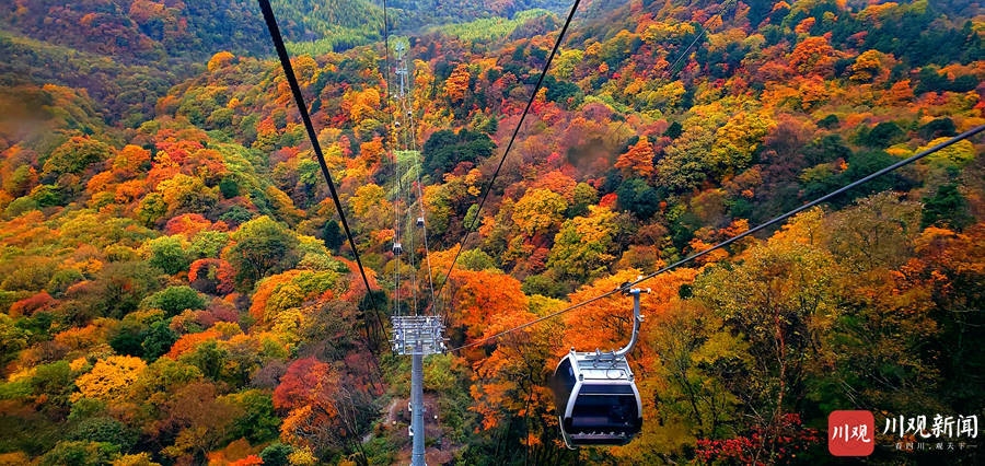 （转载）绝美！巴中光雾山红叶红了