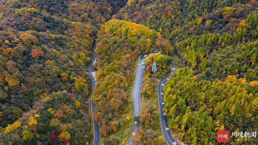 （转载）绝美！巴中光雾山红叶红了