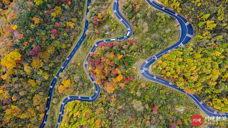 （转载）绝美！巴中光雾山红叶红了