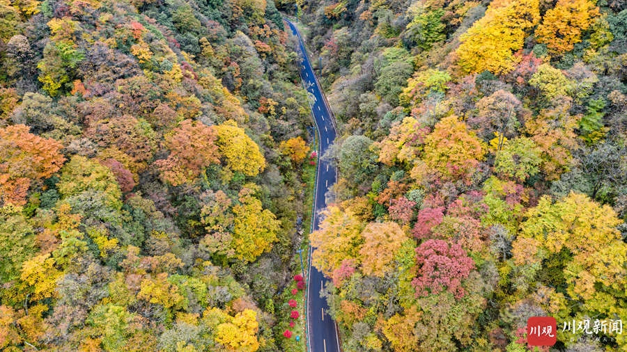 （转载）绝美！巴中光雾山红叶红了