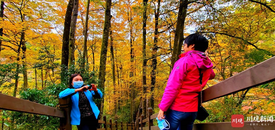 （转载）绝美！巴中光雾山红叶红了