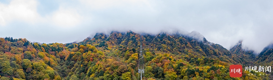 （转载）绝美！巴中光雾山红叶红了