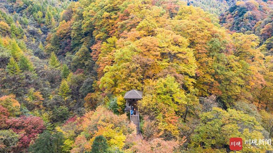 （转载）绝美！巴中光雾山红叶红了