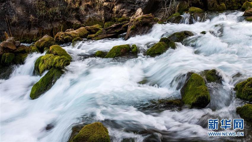 图片默认标题_fororder___172.100.100.3_temp_9500020_1_9500020_1_1_686cddc6-3fa0-4dff-a838-66e01ad3ee38