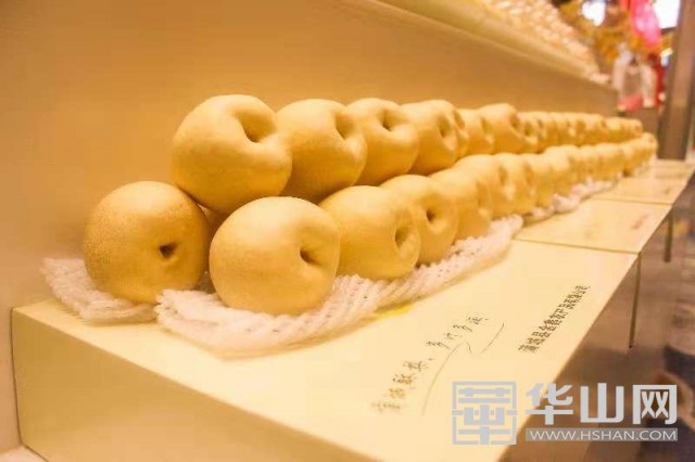 产学研一体合作 蒲城酥梨试验示范站揭牌运营