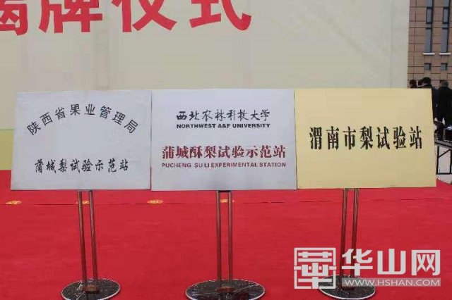 产学研一体合作 蒲城酥梨试验示范站揭牌运营