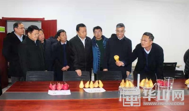 产学研一体合作 蒲城酥梨试验示范站揭牌运营