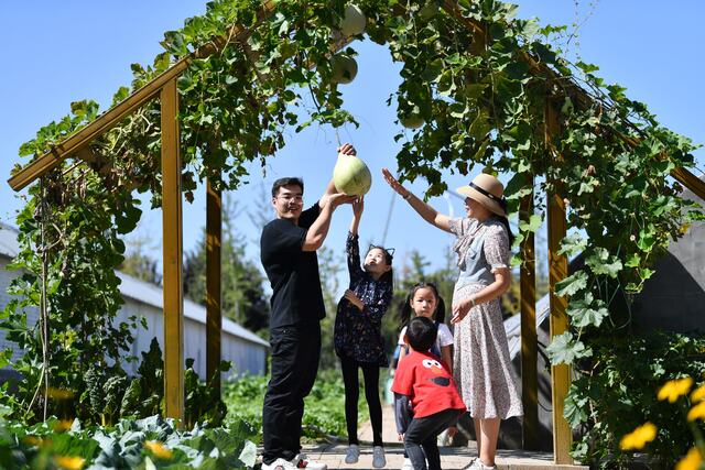 （有修改）【張琳瑞稿件】北京市豐台區推出5條精品旅遊線路邀遊客秋季暢遊豐臺