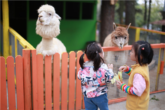 （有修改）（B 文旅列表 三吳大地南京 移動版）南京決勝全面小康攝影大咖采風行走進谷裏街道