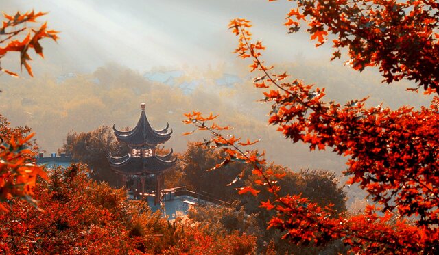 （有修改）【張琳瑞稿件】北京市豐台區推出5條精品旅遊線路邀遊客秋季暢遊豐臺