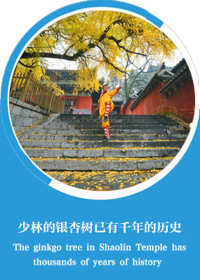 Zhengzhou City: Shaolin Kungfu has won a worldwide reputation and attracted foreign learners_fororder_2