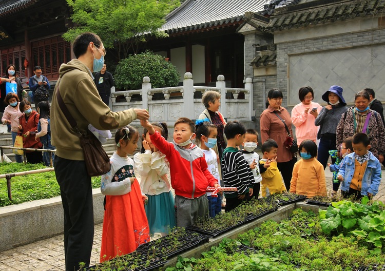已過審）南京棲霞山“小小藥師”活動帶孩子們探尋國粹文化