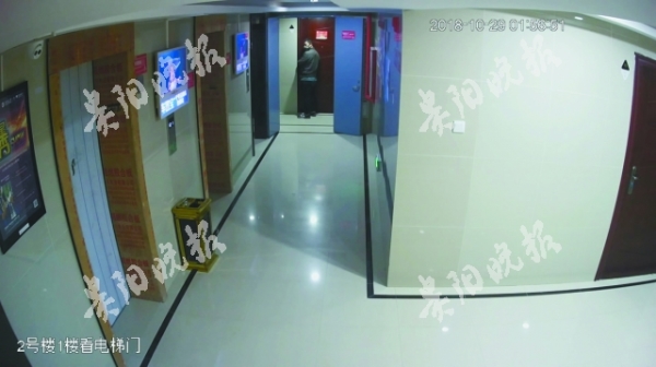 （法治）蟊贼蒙面盗窃 天眼锁定行踪