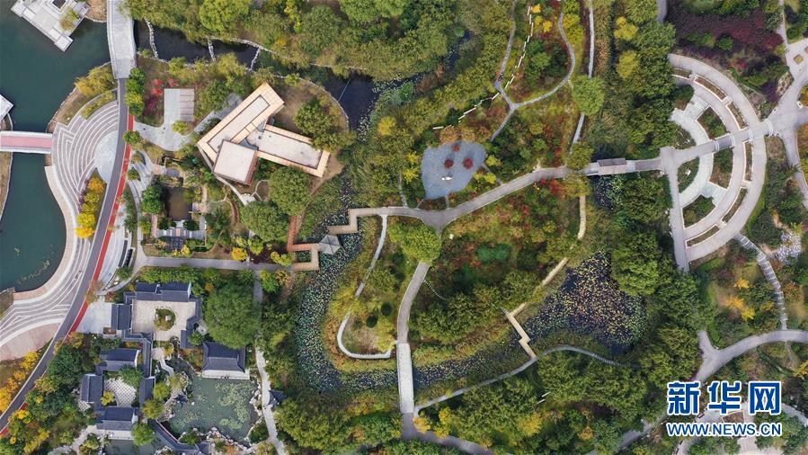 河北唐山:秋染南湖風光好