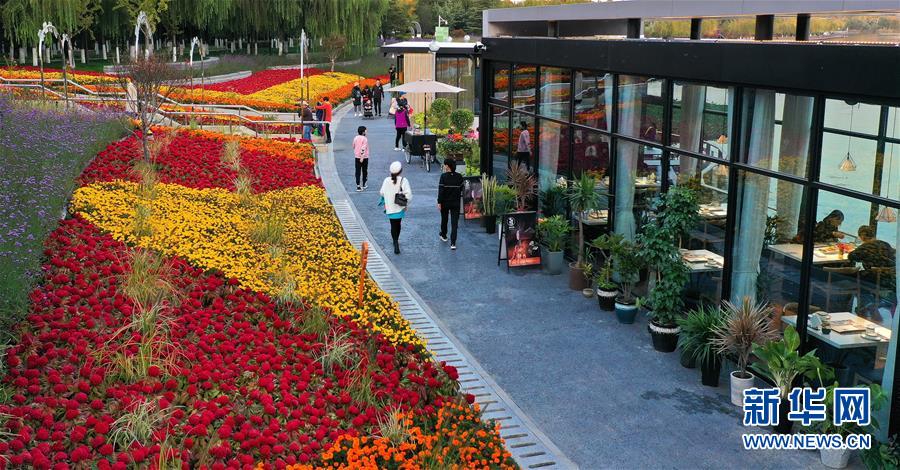 河北唐山:秋染南湖風光好