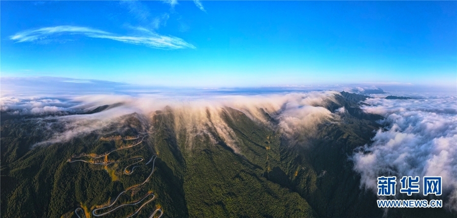 广西大明山：秋云成海 蔚为壮观