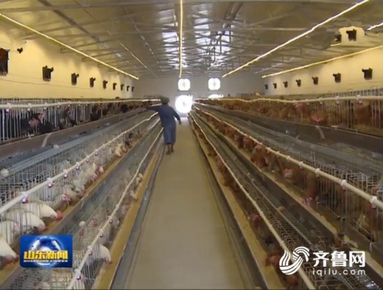 图片默认标题 图片默认标题_fororder_067566a9bead0a632e7d88a7ff974f9b_iqilu_副本