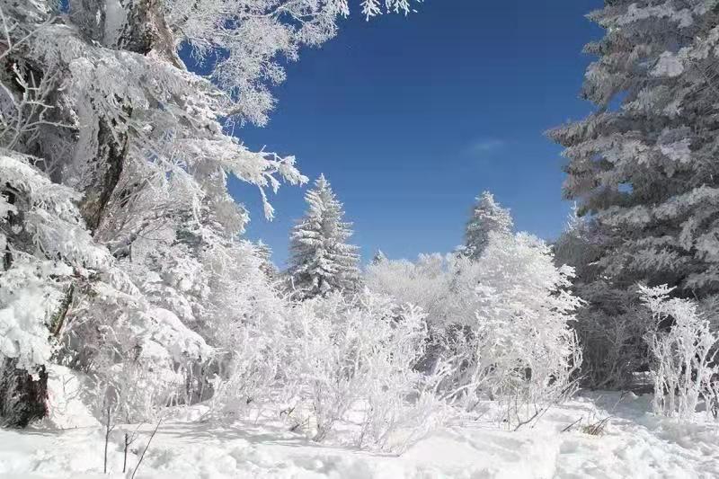 吉林安圖老嶺雪鄉起歡聲