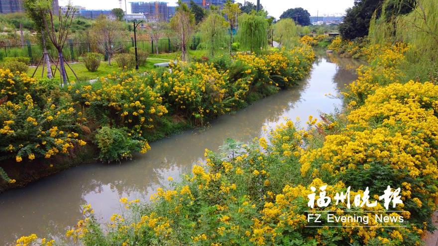 福州倉山郭宅“繡”藍圖 30多處歷史建築將形成組團