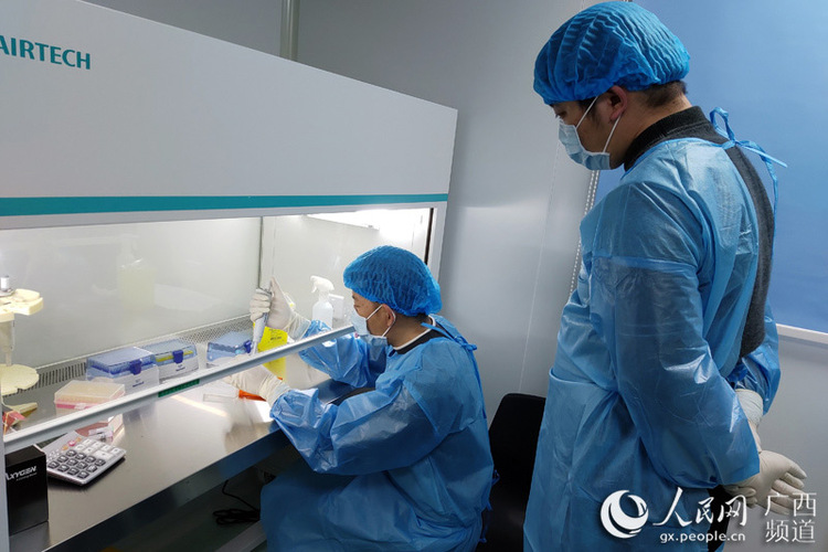广西疾控中心支援湖北实验室检测专家组行动迅速