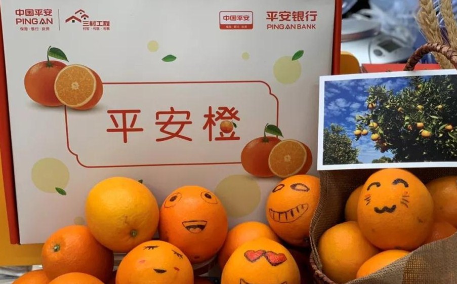 中國平安打造扶貧“平安橙”