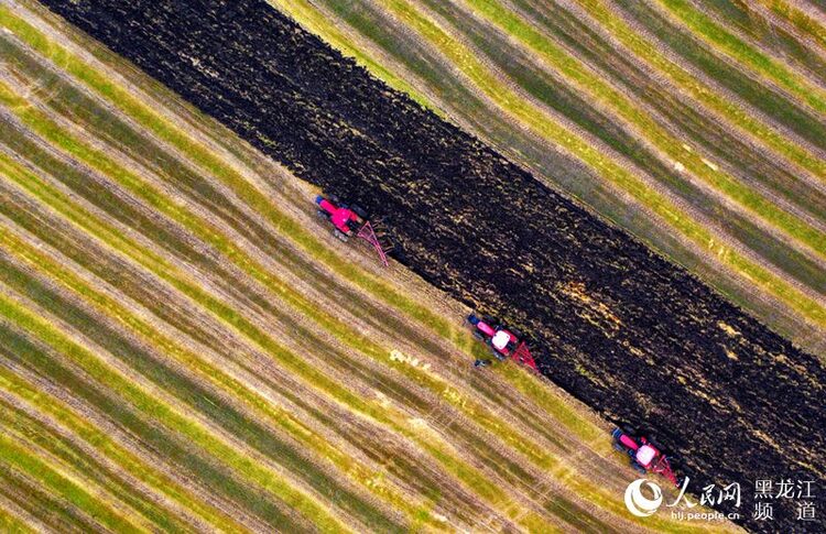 “北大荒現代化大農業主題攝影作品展”在北京國際攝影周展出