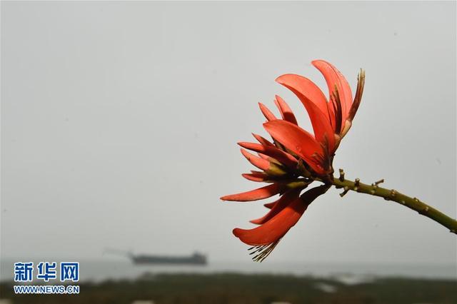 泉州——海上丝绸之路起点新貌