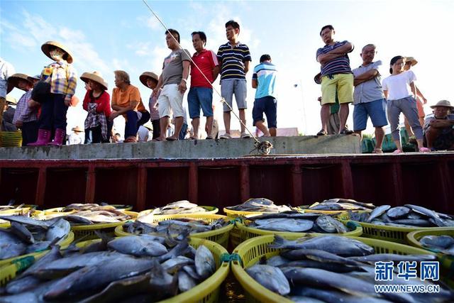 瓊海：捕魚歸來