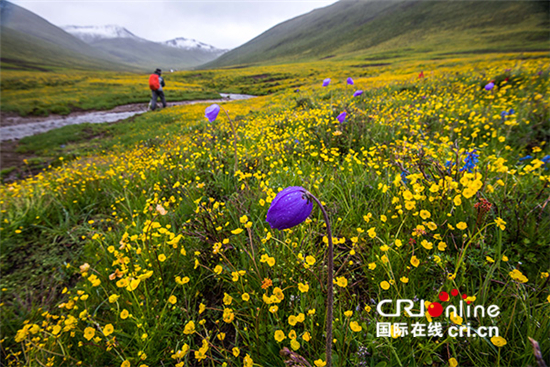 美国摄影师欧阳凯：美丽中国值得自己贡献一份力量_fororder_2