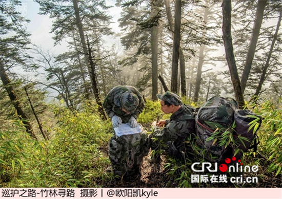 美国摄影师欧阳凯：美丽中国值得自己贡献一份力量_fororder_9