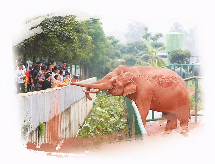 廣西平南:發力全域旅遊 孕育西江明珠