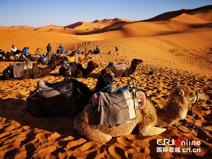 '일대일로'의 모로코