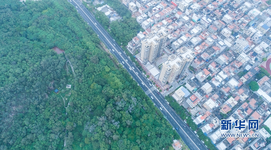 “蝶島”蝶變:昔日“風沙之島” 今日“東海綠洲”